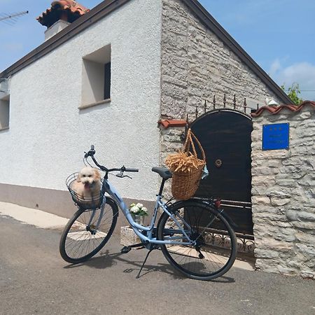 Authentic Istria&Pet Friendly Apartment Banko Near Rovinj Канфанар Екстериор снимка
