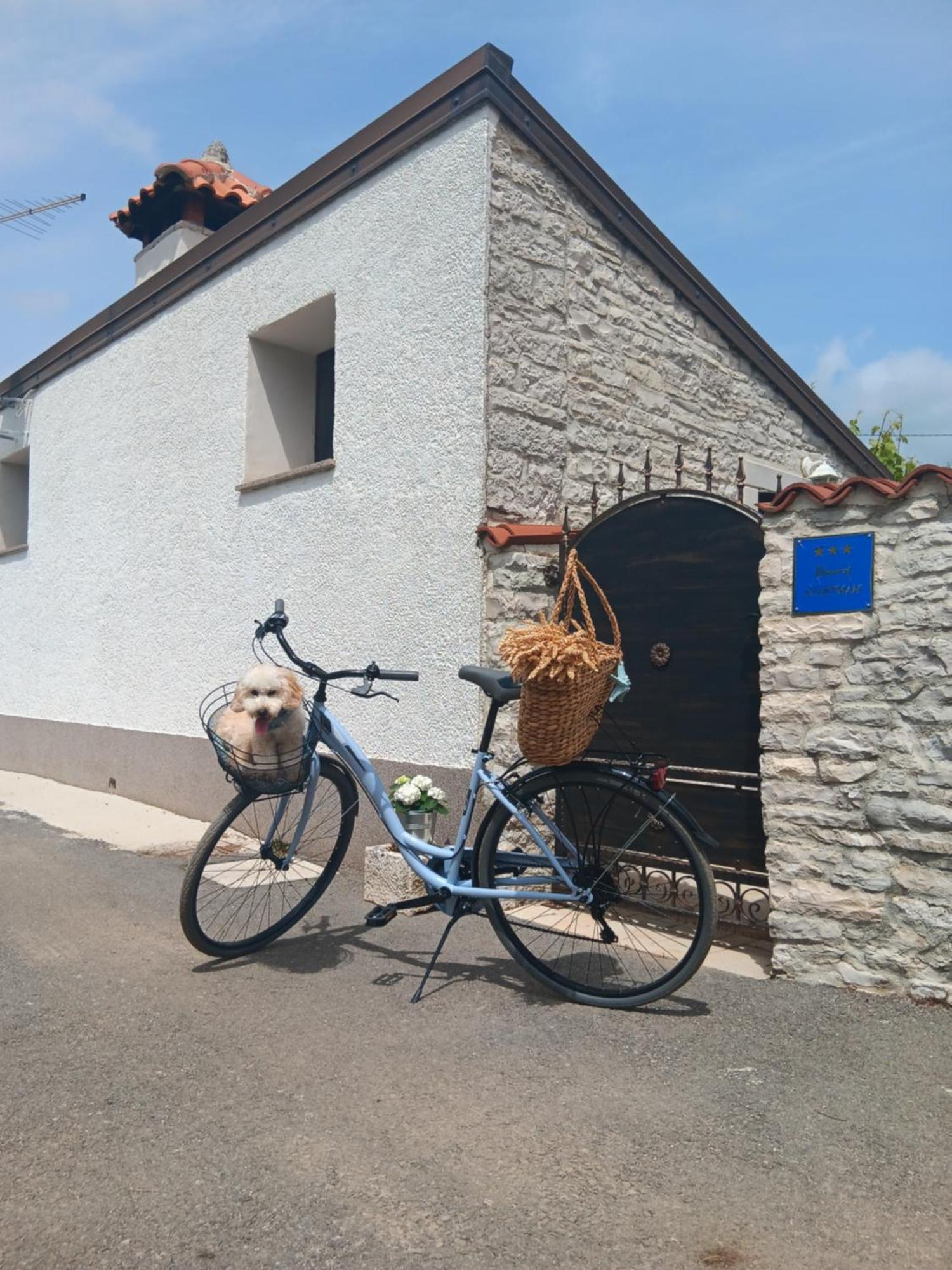 Authentic Istria&Pet Friendly Apartment Banko Near Rovinj Канфанар Екстериор снимка