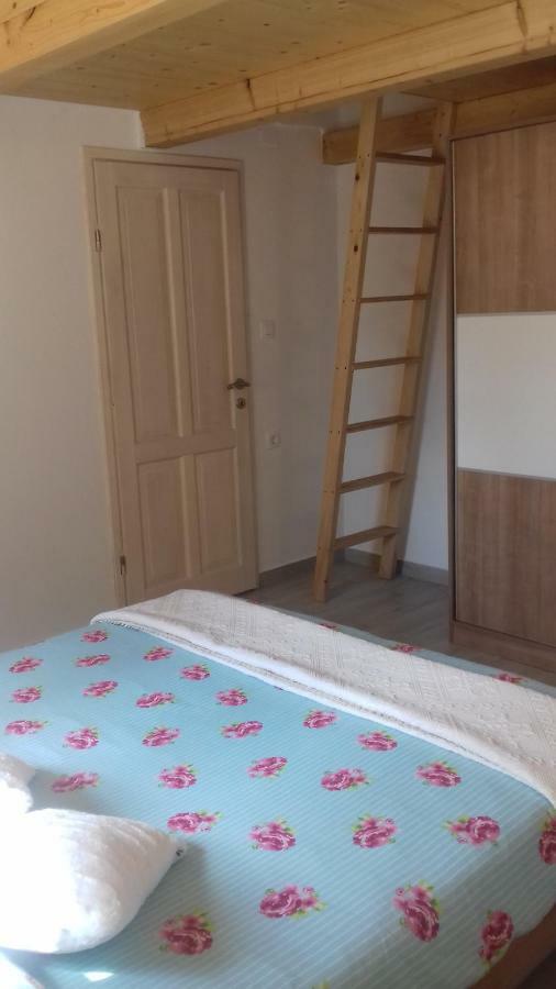 Authentic Istria&Pet Friendly Apartment Banko Near Rovinj Канфанар Екстериор снимка